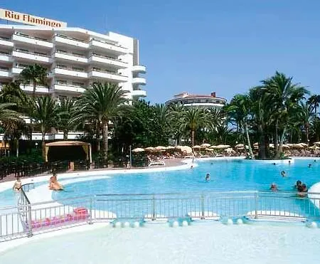 호텔 Riu Flamingo 4*