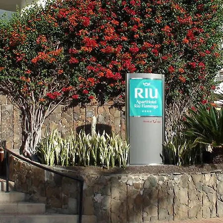 Riu Flamingo 호텔 4*